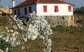 Casa Da Vinha Grande