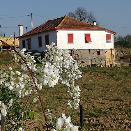 Hotel Casa Da Vinha Grande à Poiares Extérieur photo
