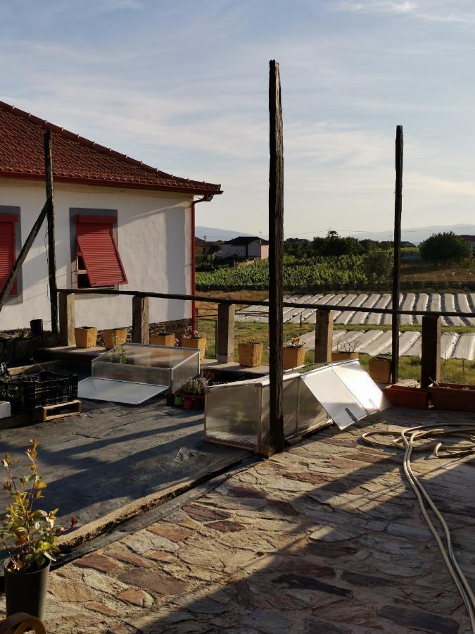 Hotel Casa Da Vinha Grande à Poiares Extérieur photo