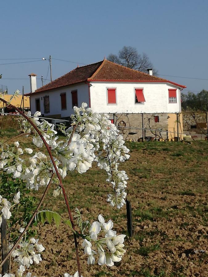 Hotel Casa Da Vinha Grande à Poiares Extérieur photo